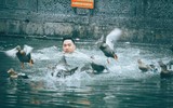 Sôi động trò chơi bắt vịt tại hội làng Vạn Phúc